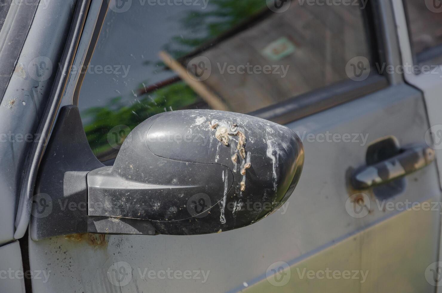 bird droppings on the mirror of the car, car cleaning or washing business concept. High quality photo