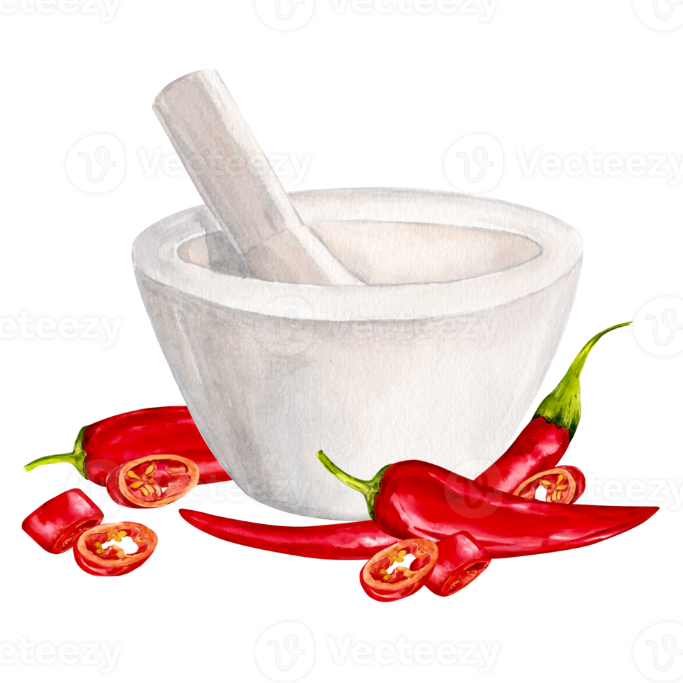 Grind red chili pepper in a mortar made of white granite. Watercolor illustration. Hot pepper is a traditional ingredient of Indian and Mexican cuisine. Clipart for design, menu, packaging. png