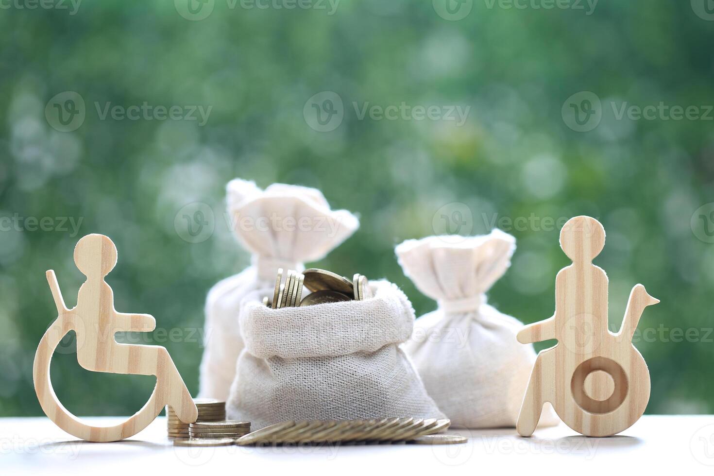 Man on wheelchair and gold coin money in a bag on natural green background,Save money for prepare in future and handicapped person concept photo