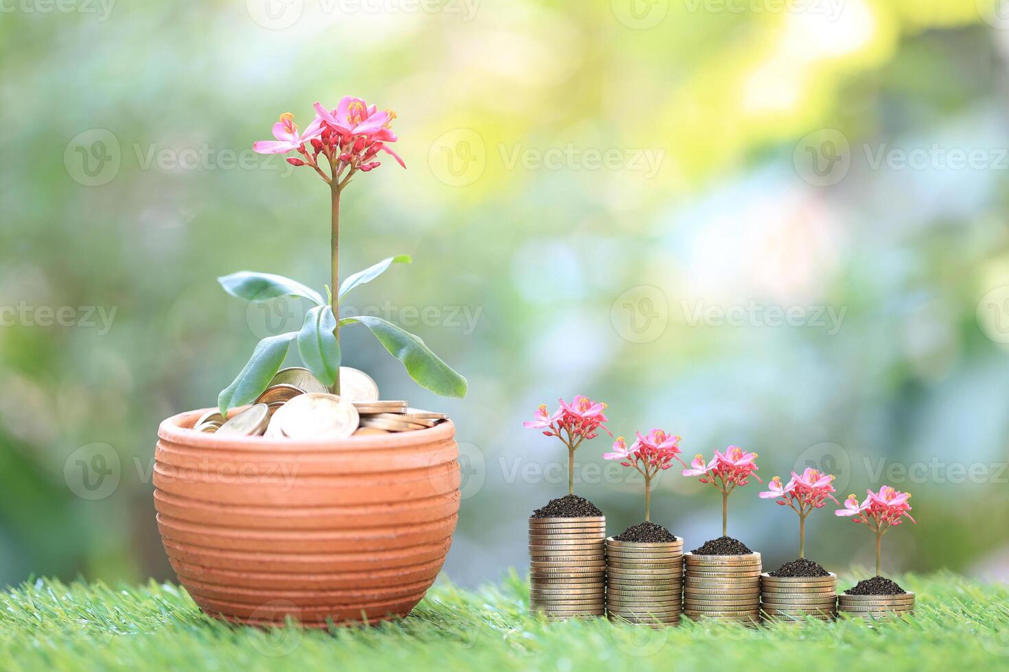 Interest rate up and Banking concept, Plant growing on stack of coins money in flowerpots on green background, investment and business concept photo