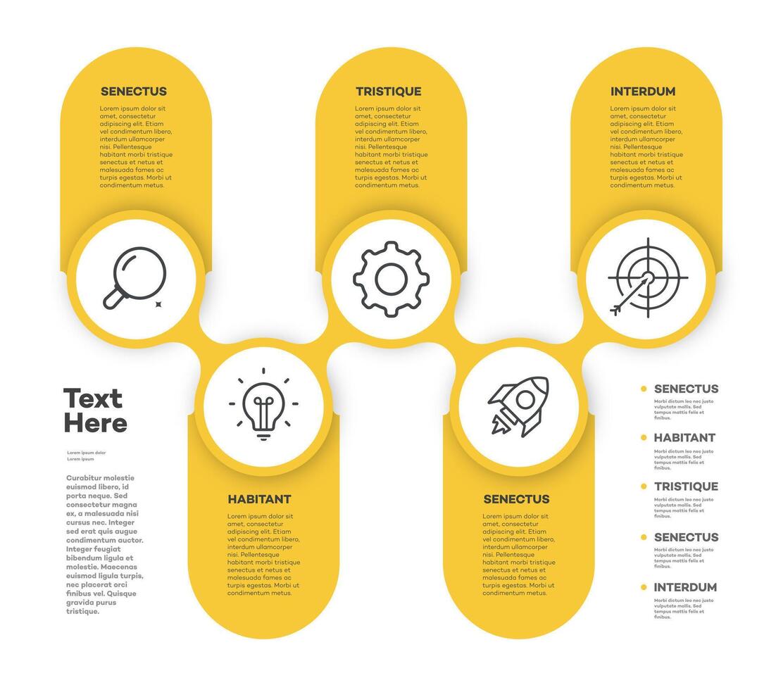 Infographic template timeline process color style vector