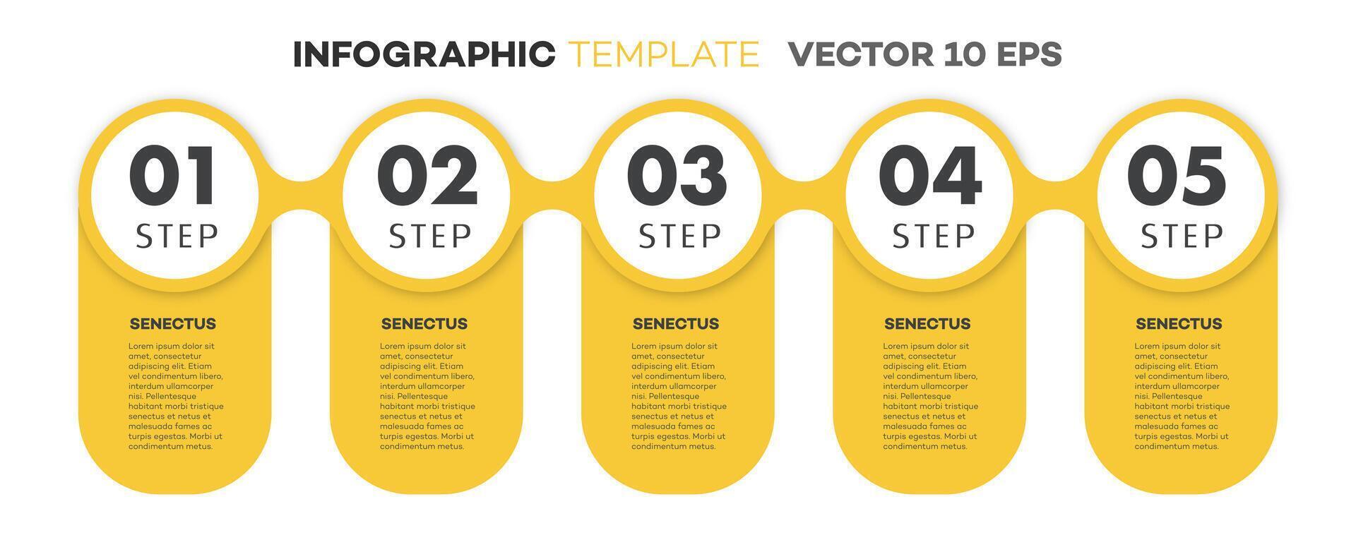 Infographic template timeline process color style vector