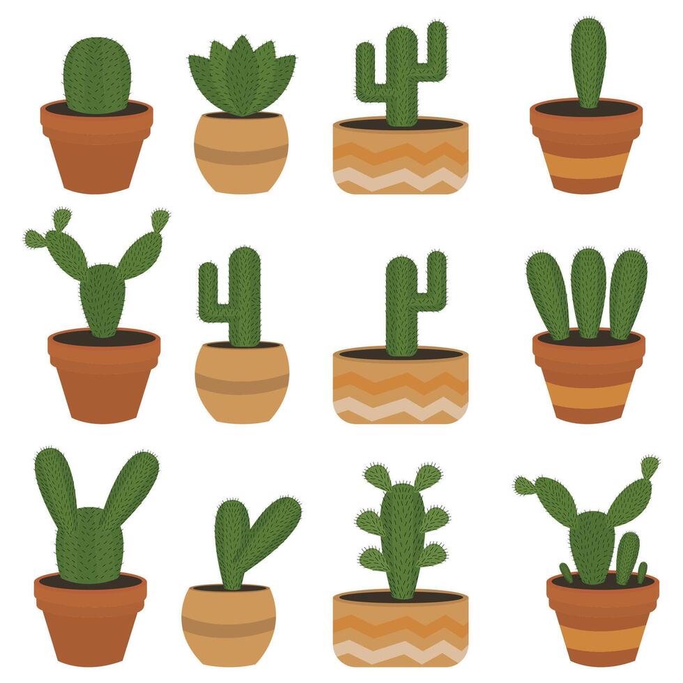 set of cacti with different shapes vector
