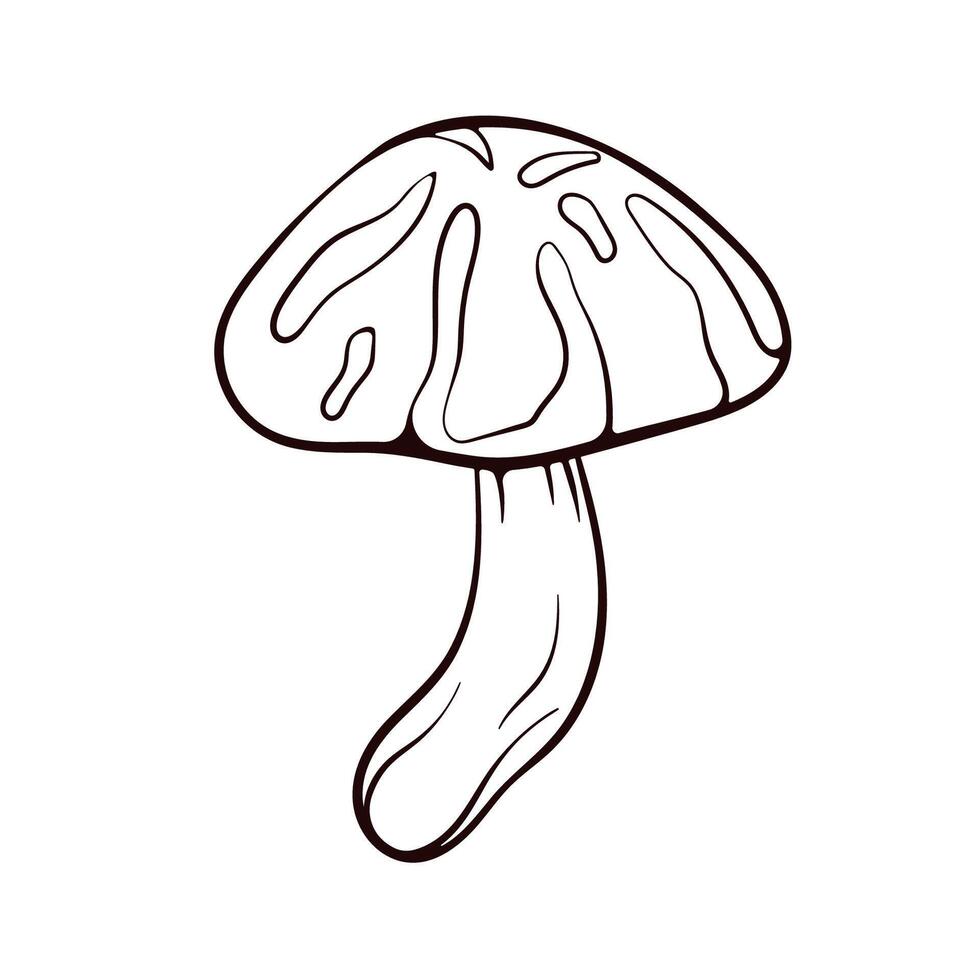 Stylized Illustration of Japanese Shiitake Mushroom in Line Art techniques. Autumn design for vegetable store, menu, restaurants. on a white background. vector