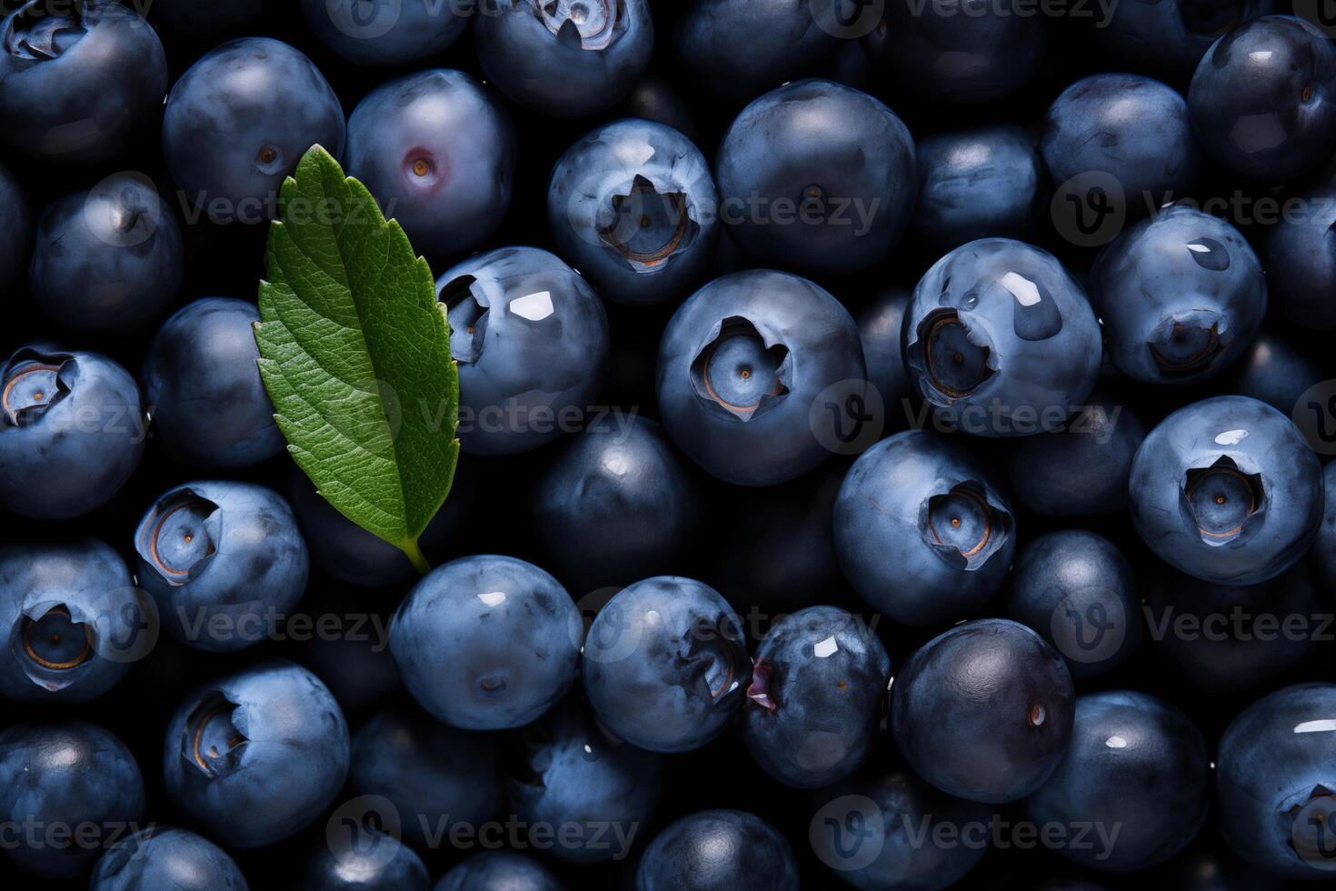 A pile of fresh Blueberry form the background, shown from above photo