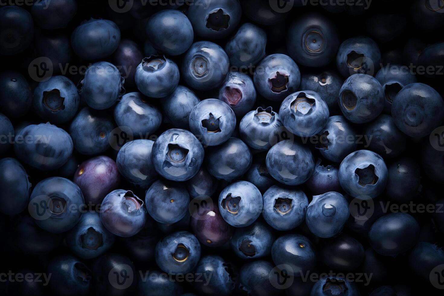 A pile of fresh Blueberry form the background, shown from above photo