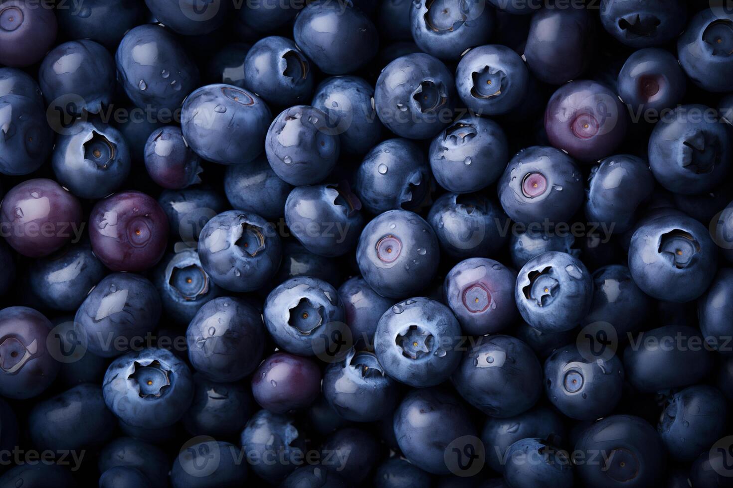 A pile of fresh Blueberry form the background, shown from above photo