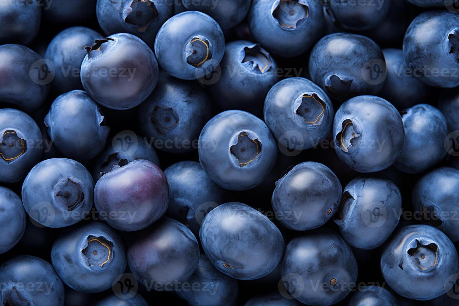 A pile of fresh Blueberry form the background, shown from above photo