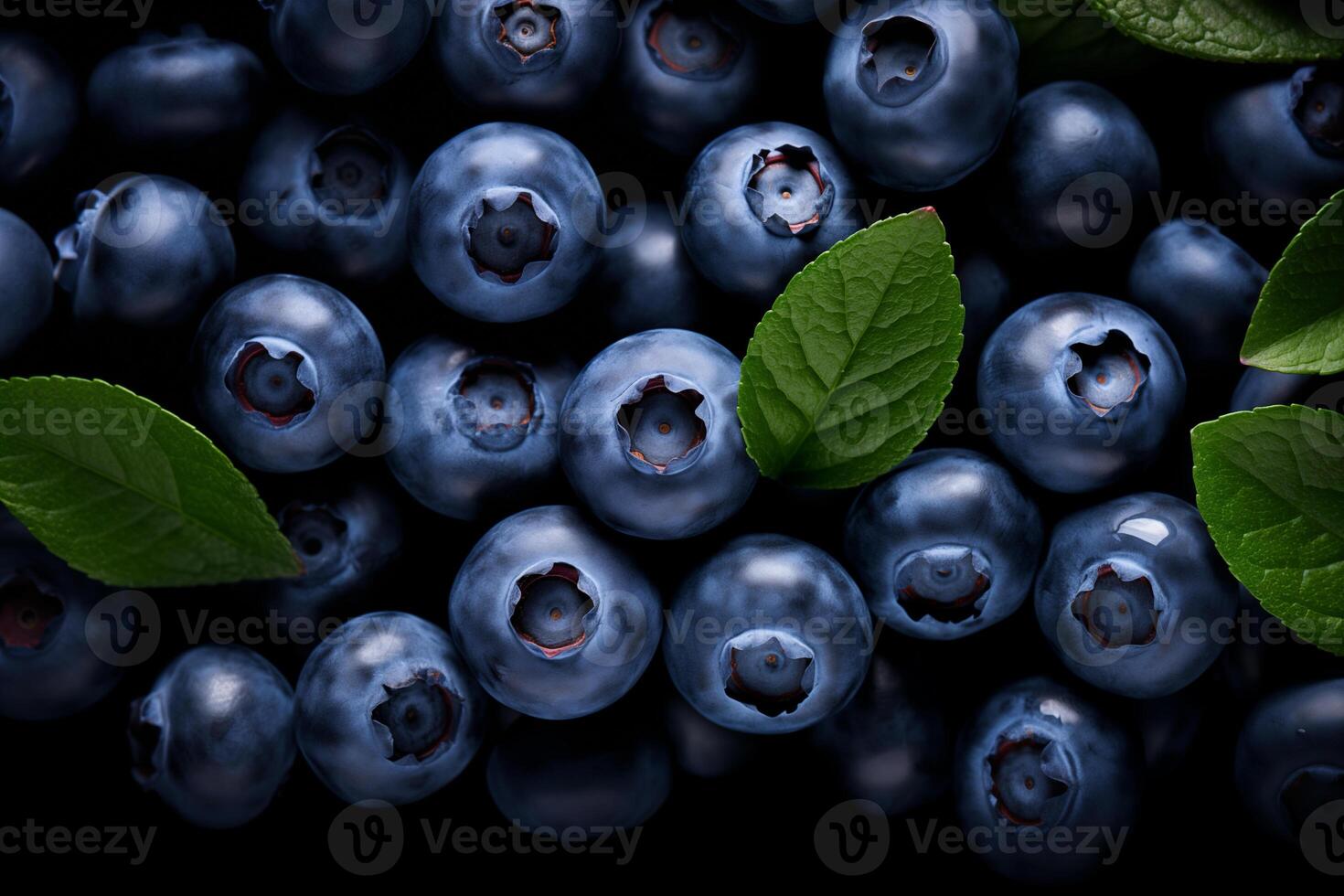 A pile of fresh Blueberry form the background, shown from above photo