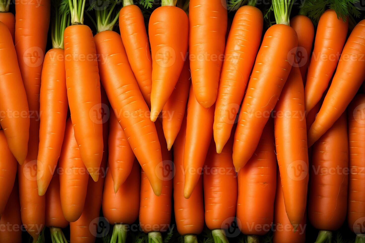 A pile of fresh carrot form the background, shown from above photo
