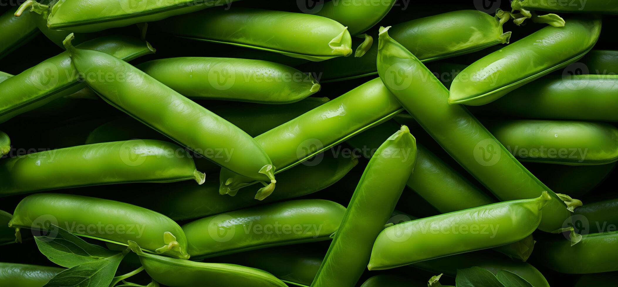 A pile of fresh green Pea pod form the background, shown from above photo