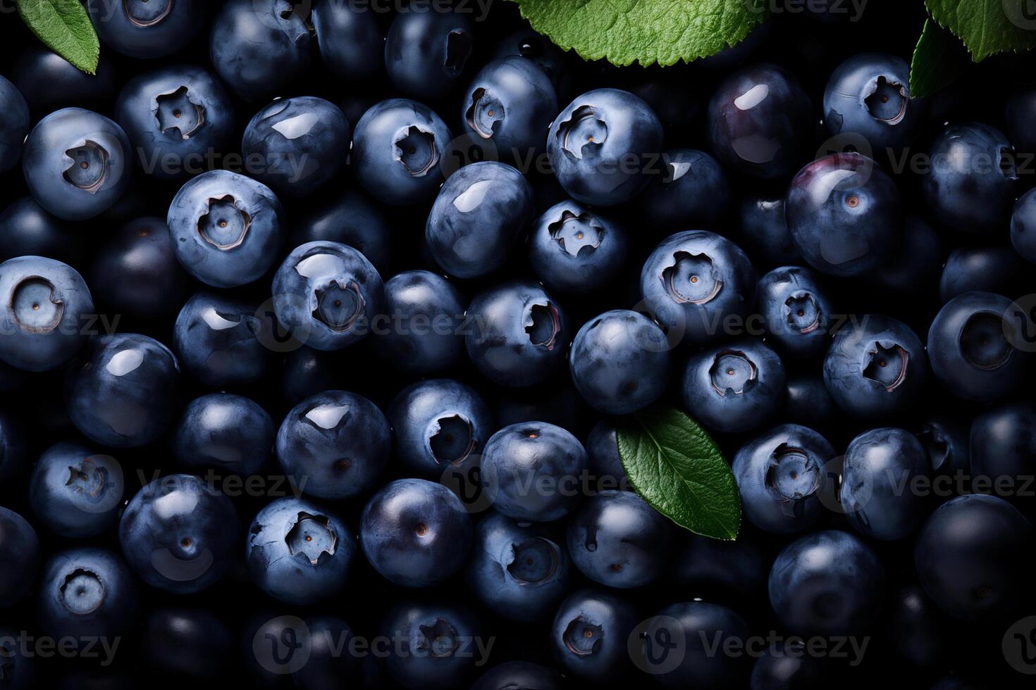 A pile of fresh Blueberry form the background, shown from above photo
