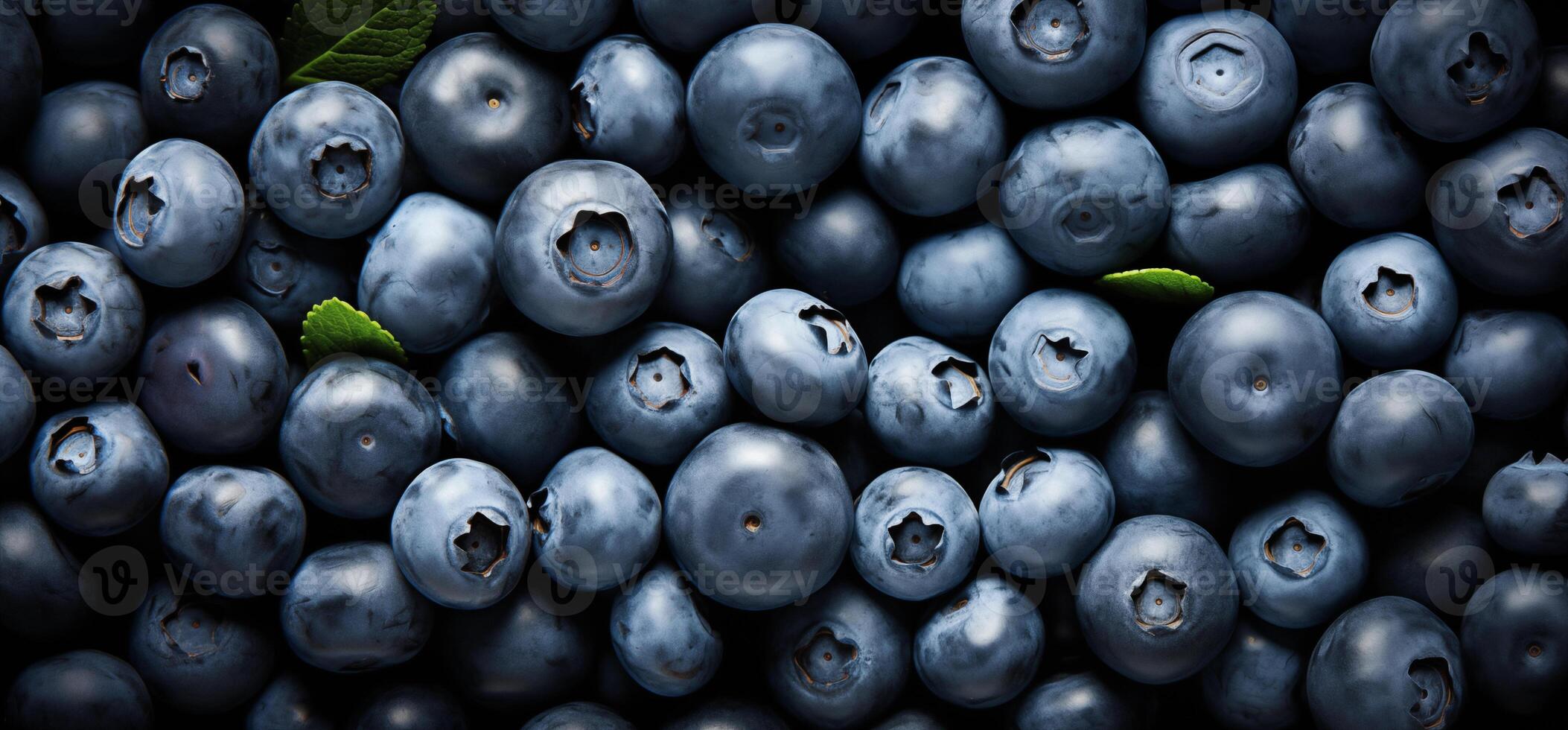 A pile of fresh Blueberry form the background, shown from above photo