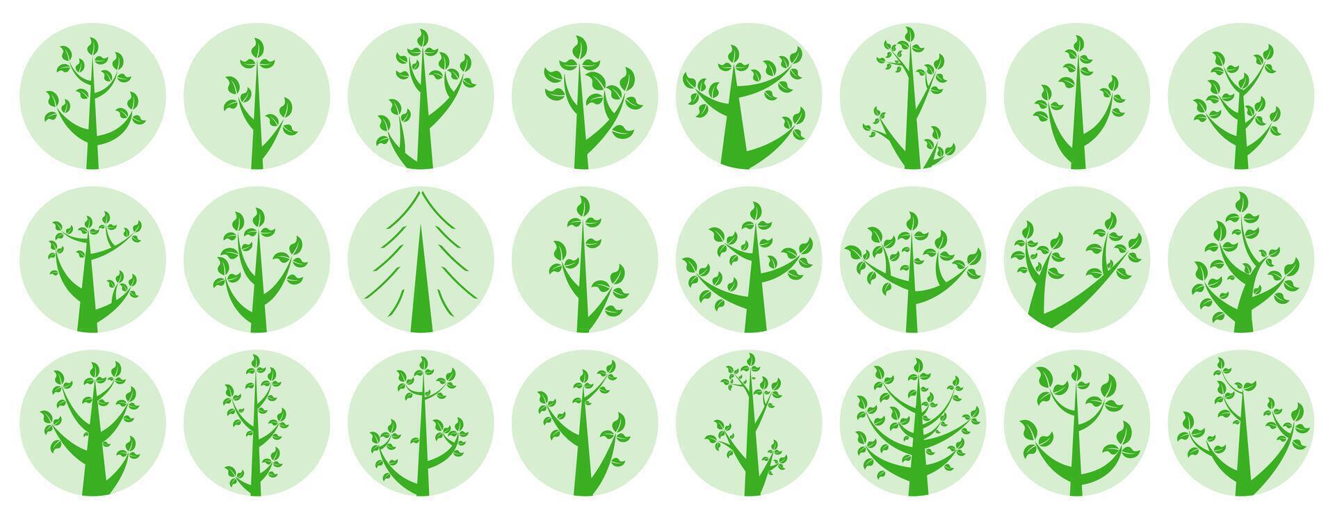 Collection of illustrations of trees. Green trees in light circles. Wood for every taste. Abstraction of trees with leaves. vector