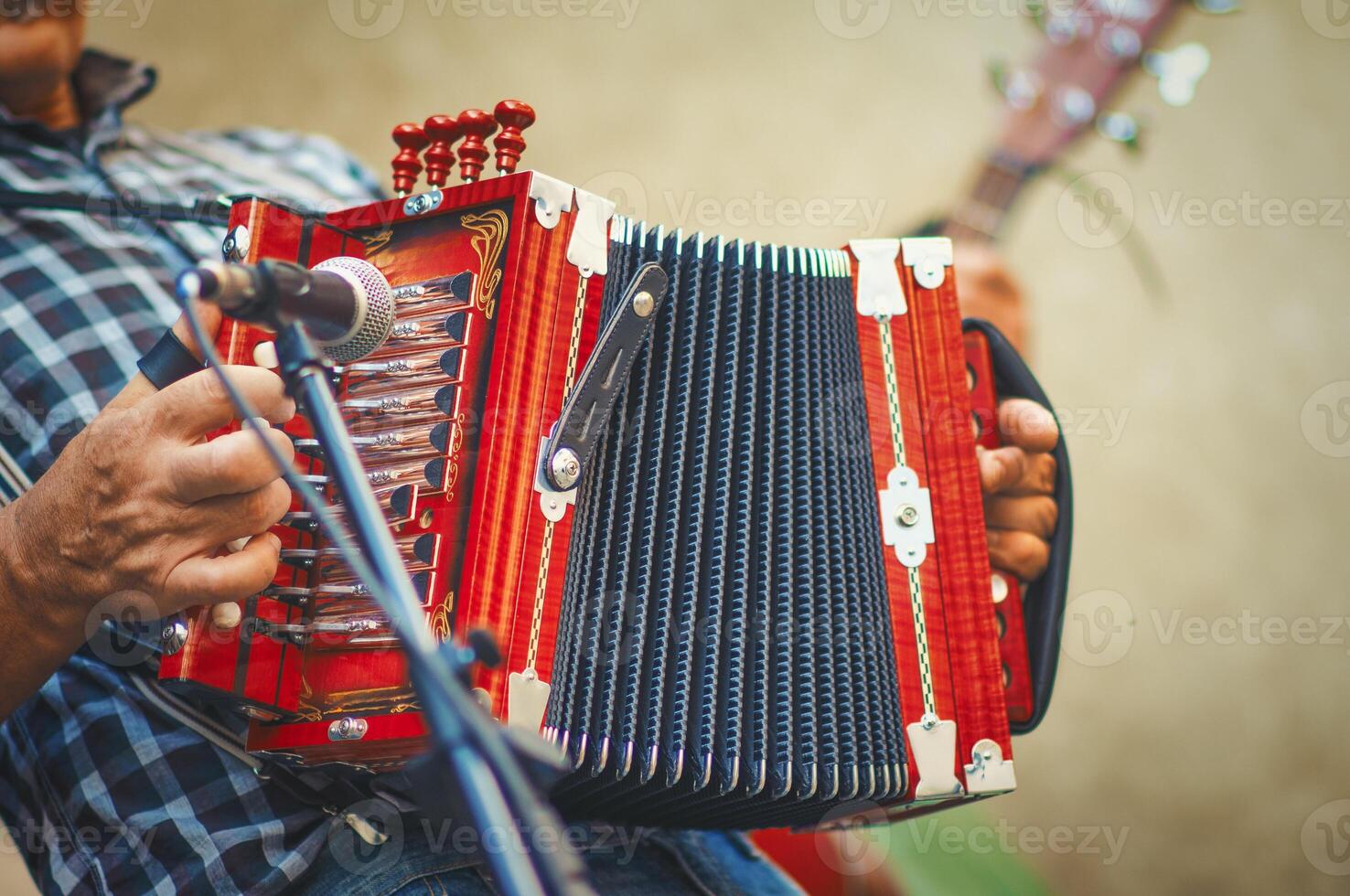 Diatonic accordion player photo