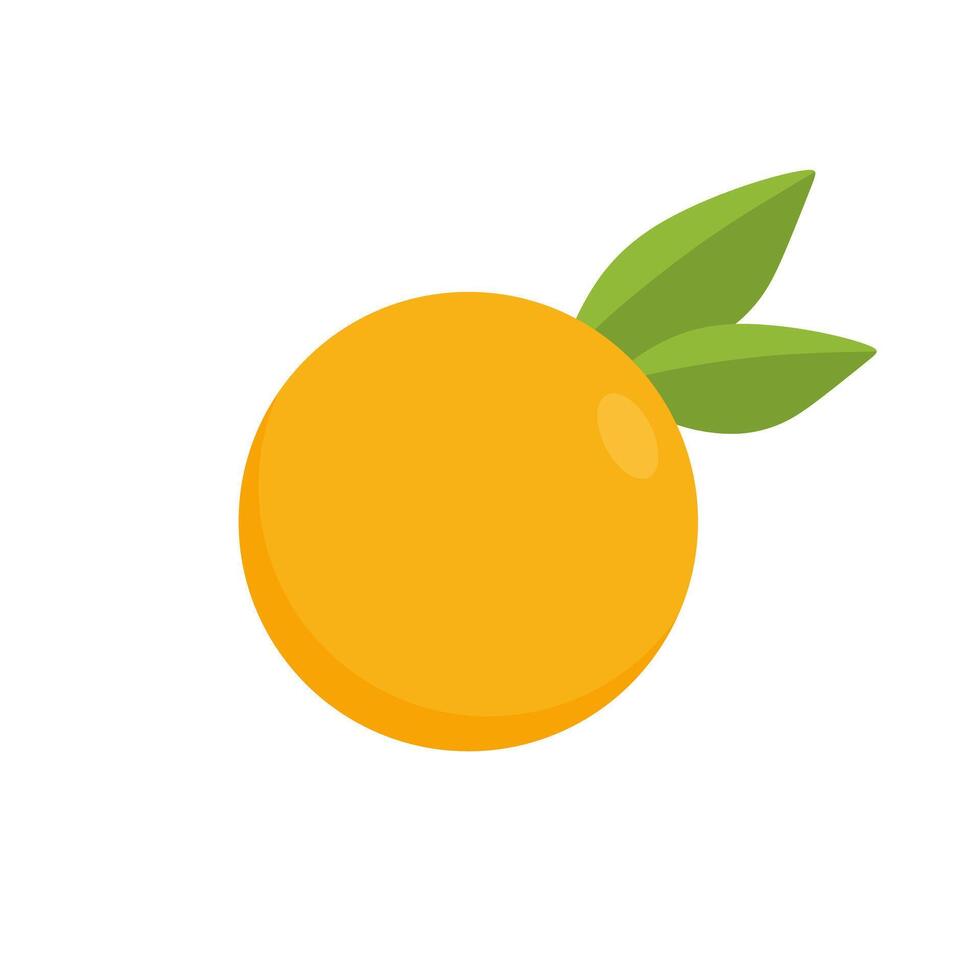 orange fruit flat design illustration. simple fresh orange fruit healthy food snack delicious cartoon illustration. Tangerine organic fruit. vector