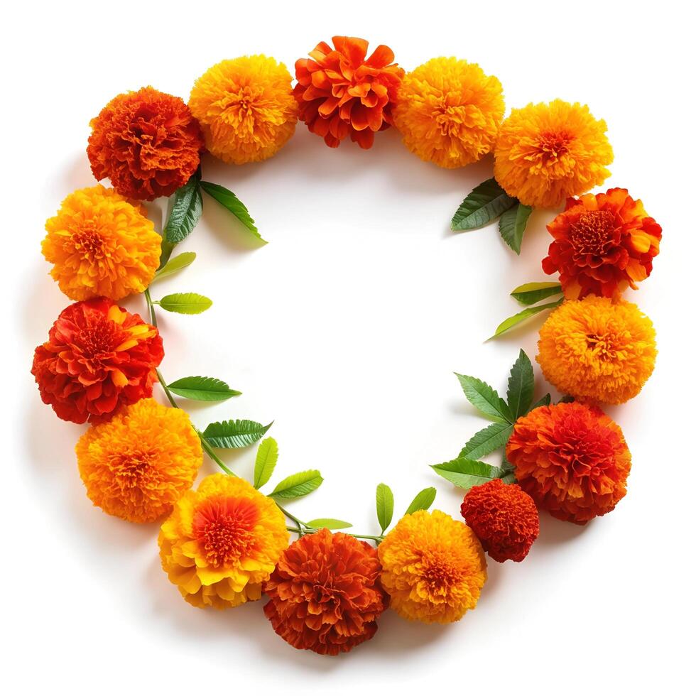 Marigold Flower with white background photo