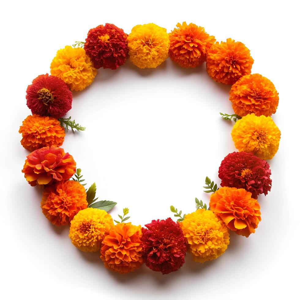 Marigold Flower with white background photo