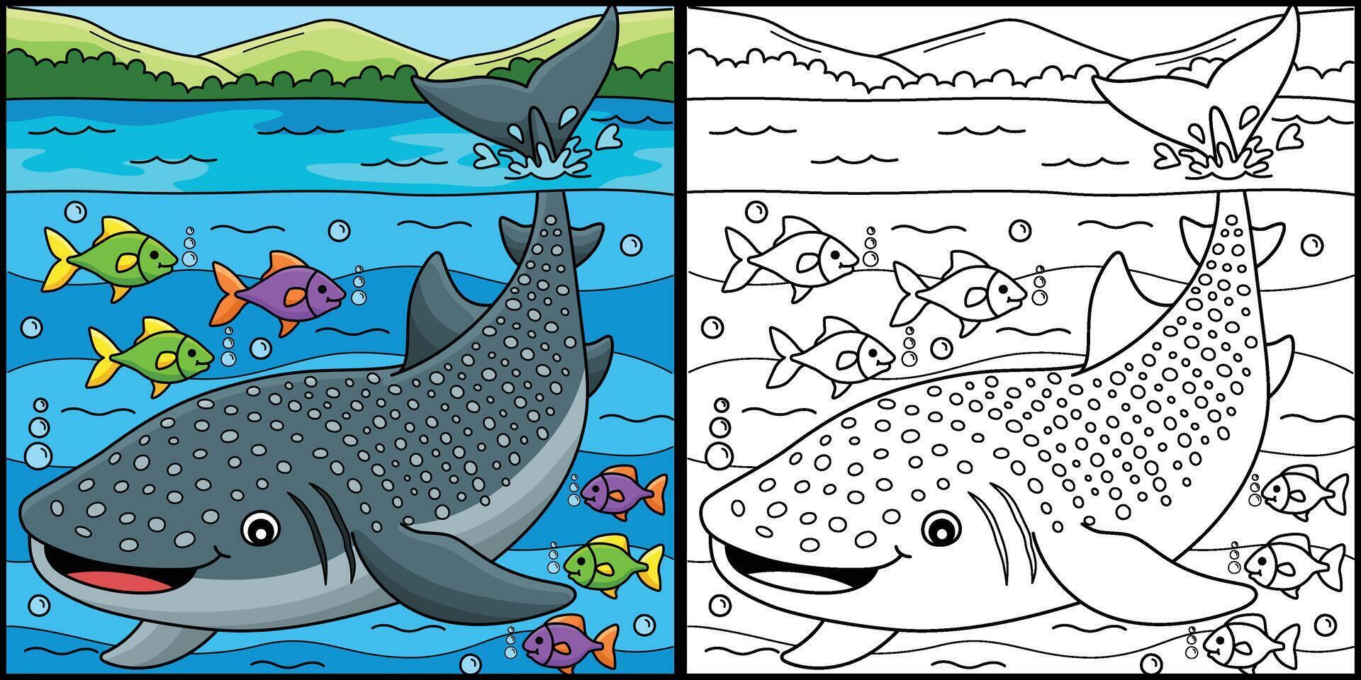 Whale Shark Coloring Page Colored Illustration vector