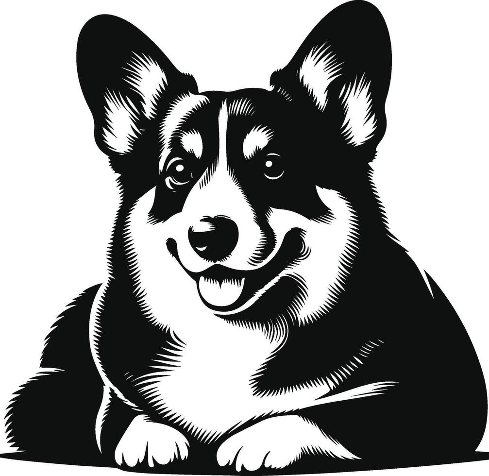 Pembroke Welsh Corgi dog breed black line illustration isolated on white background. vector