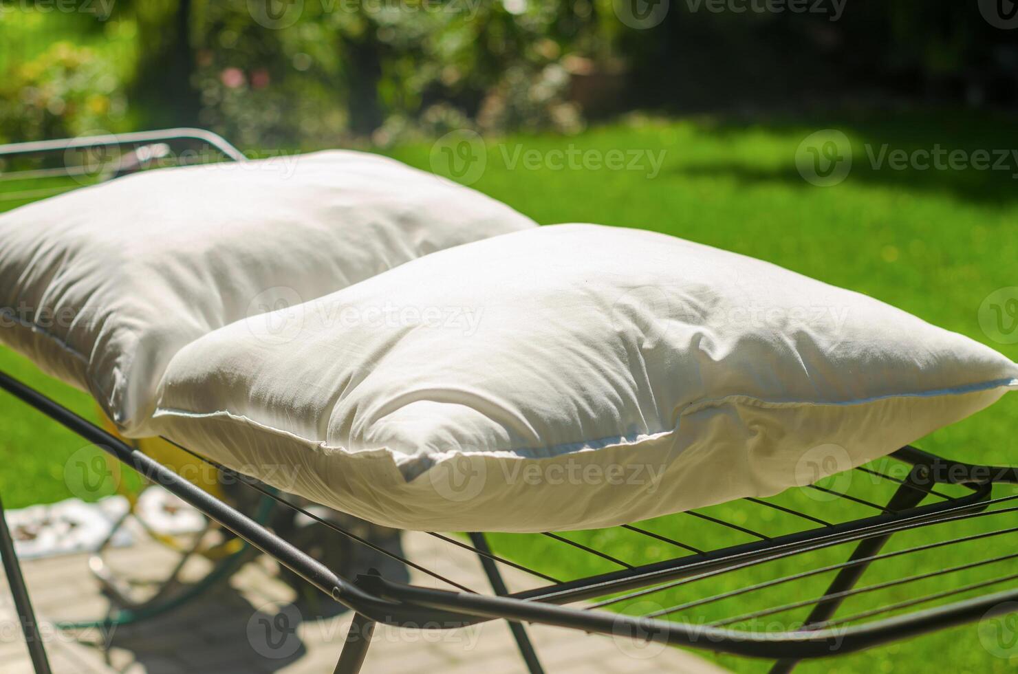 Two white down pillows are dried or ventilated in an open air in the garden. High quality photo
