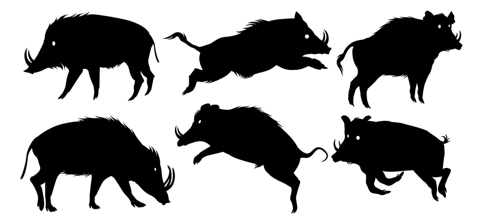 a collection of wild boar illustrations in various positions vector