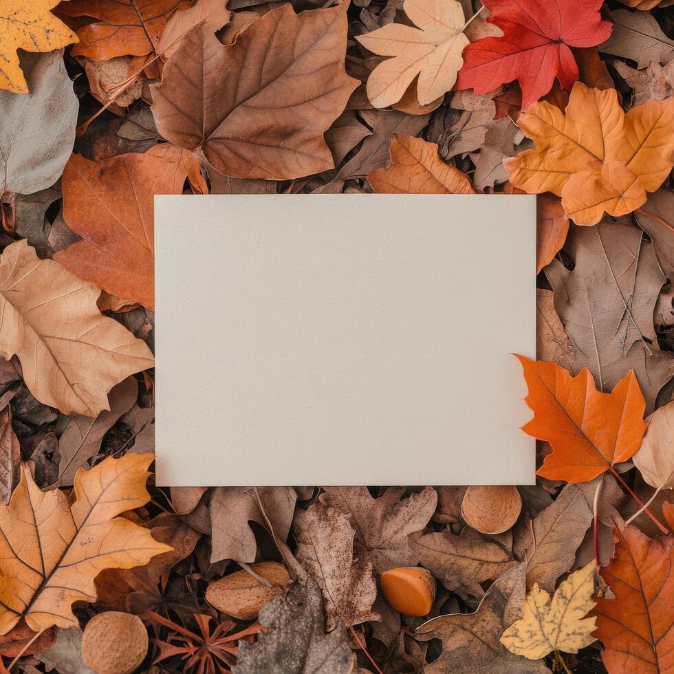 Blank card surrounded by colorful autumn leaves on the ground in a forest setting photo