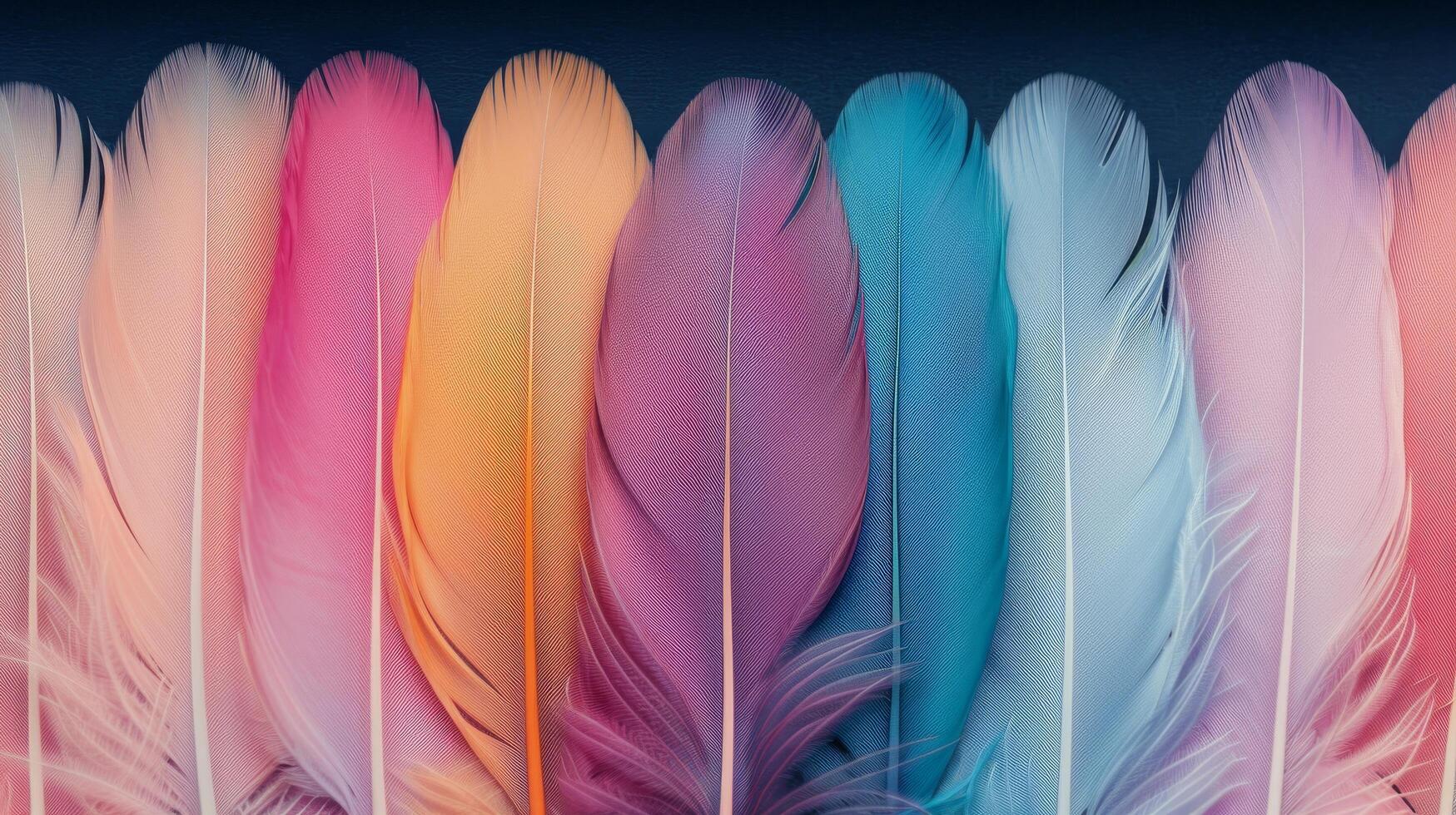 Colorful Feathers Displayed Close Up in Various Hues photo