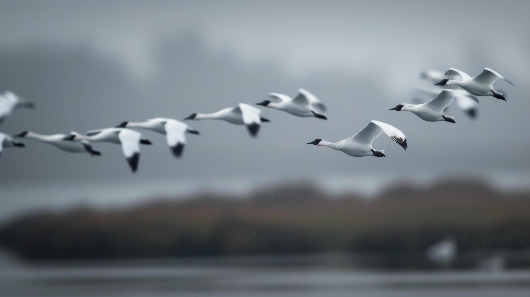Birds Flying Over Calm Water at Dusk Near Rocky Outcrop photo
