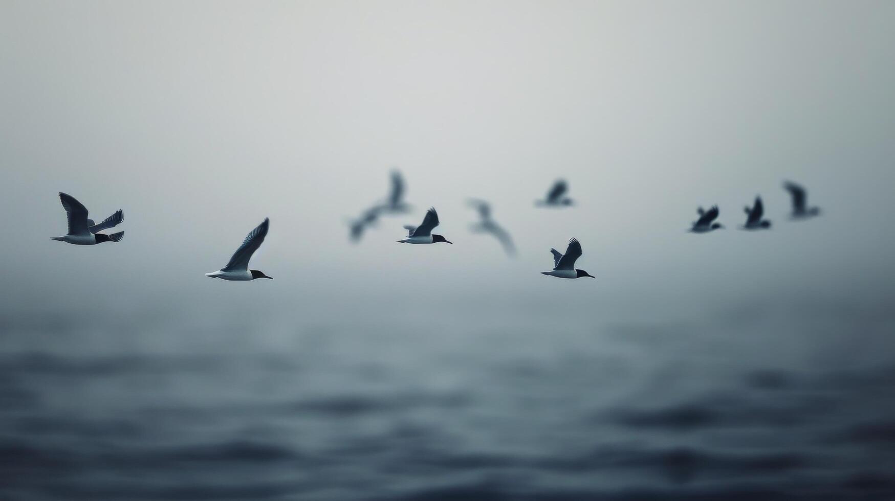Birds Flying Over Calm Water at Dusk Near Rocky Outcrop photo