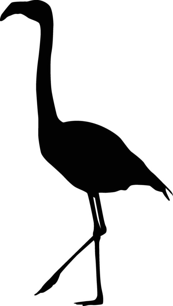 Flamingo full body silhouette vector