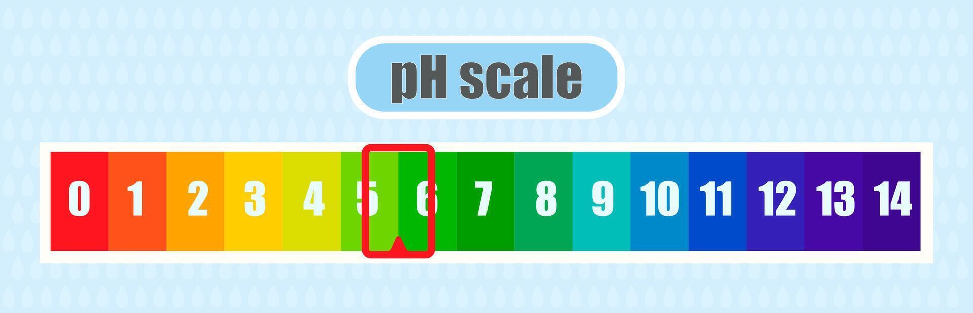 pH value scale chart for acid and alkaline solutions, acid-base balance infographic vector