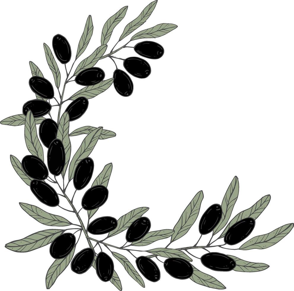 Graphics botanical black and green frame with olive branches vector