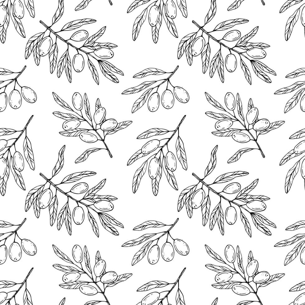 Seamless pattern with botanical olive branch with olives and leaves on a white background. Black line illustration for decoration and design fabrics, textiles, souvenirs vector