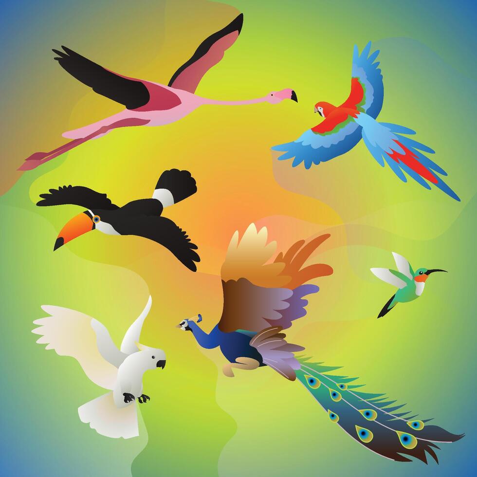 Beautiful illustration of tropical birds flying. Flamingo macaw toucan peacock hummingbird cockatoo. Colorful wildlife free in nature. Flat colors vector