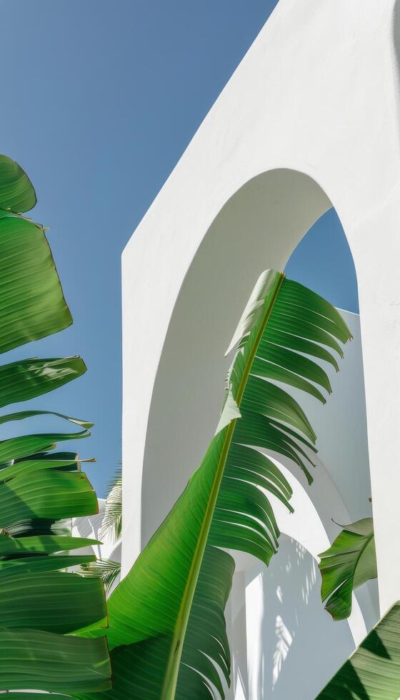 White Building With Bird Flying By photo