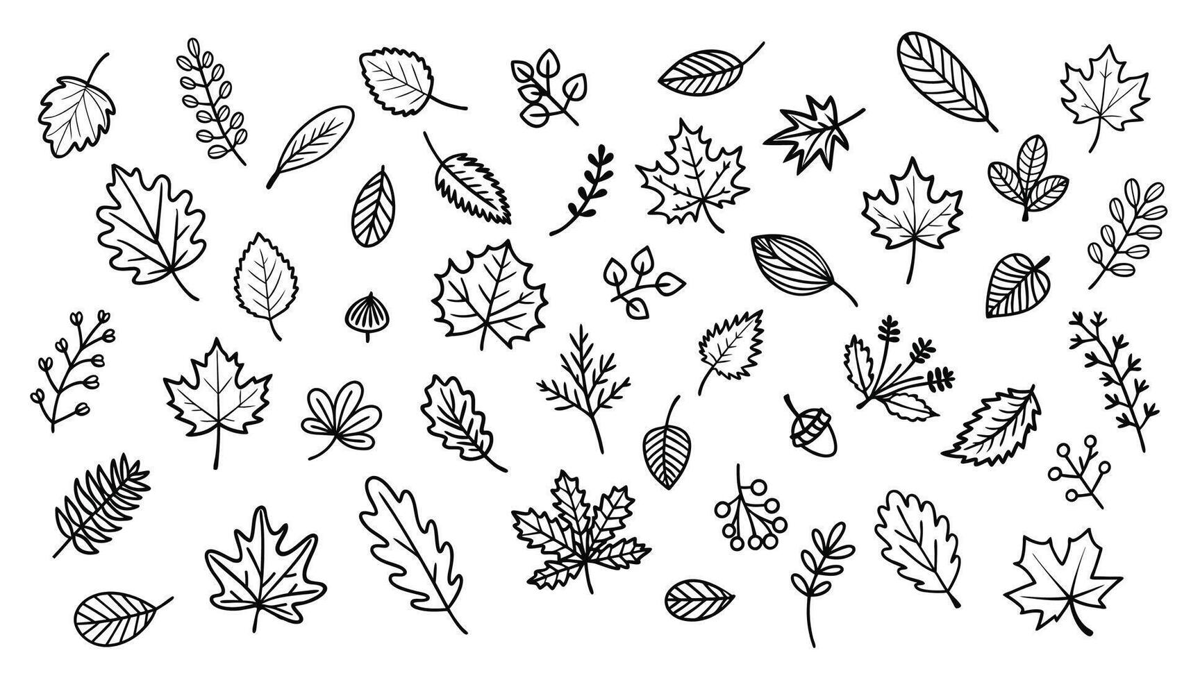 Set of hand drawn doodle autumn leaves. Hello Autumn. Autumn harvest symbols. illustration. vector
