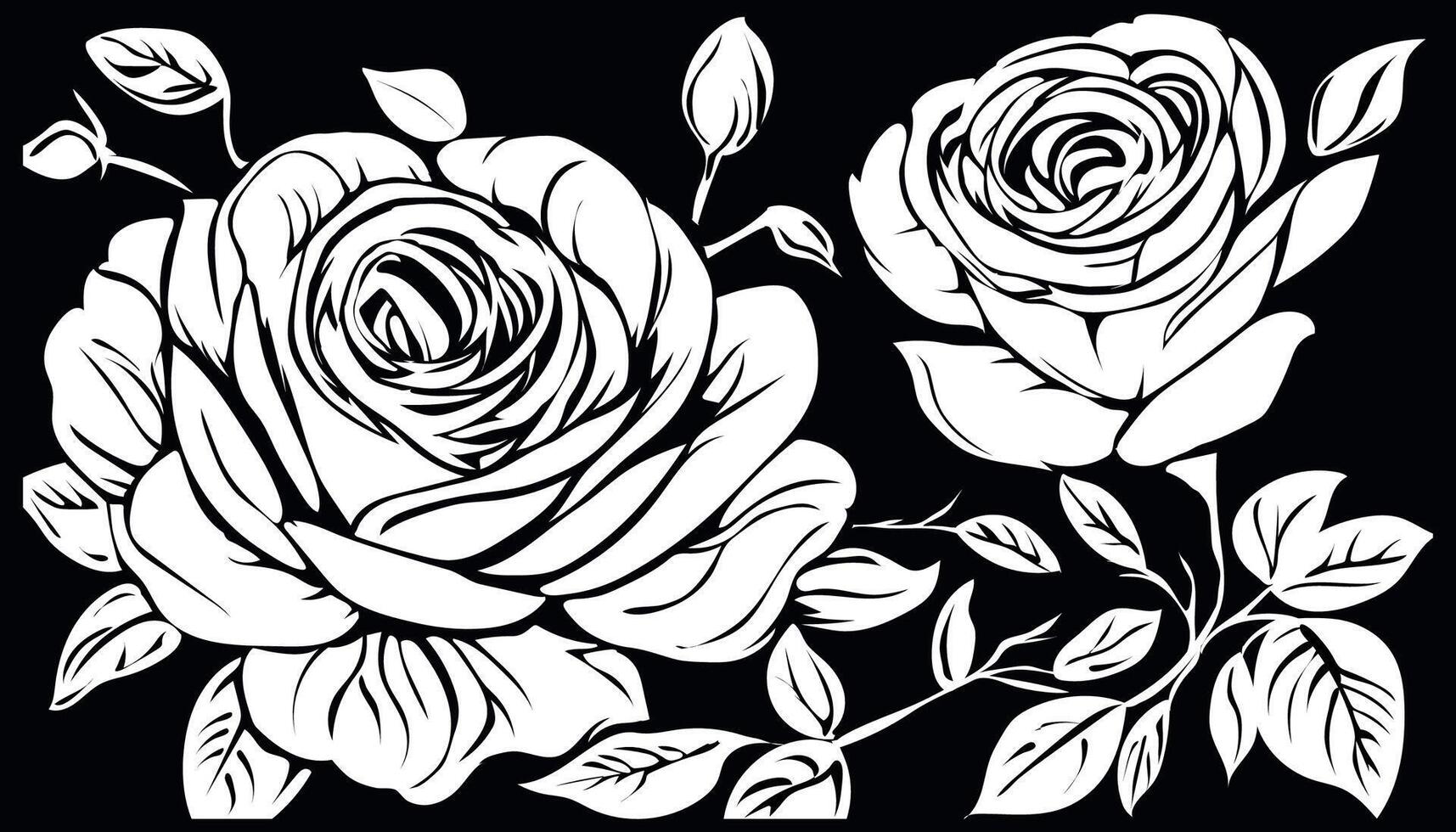 Black and White Roses vector