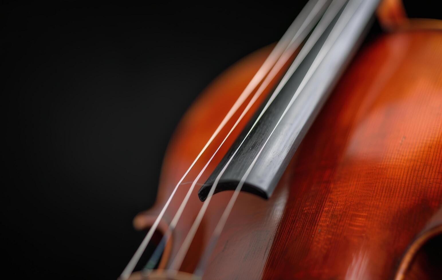 Close-Up of Violin Strings Against a Dark Background photo