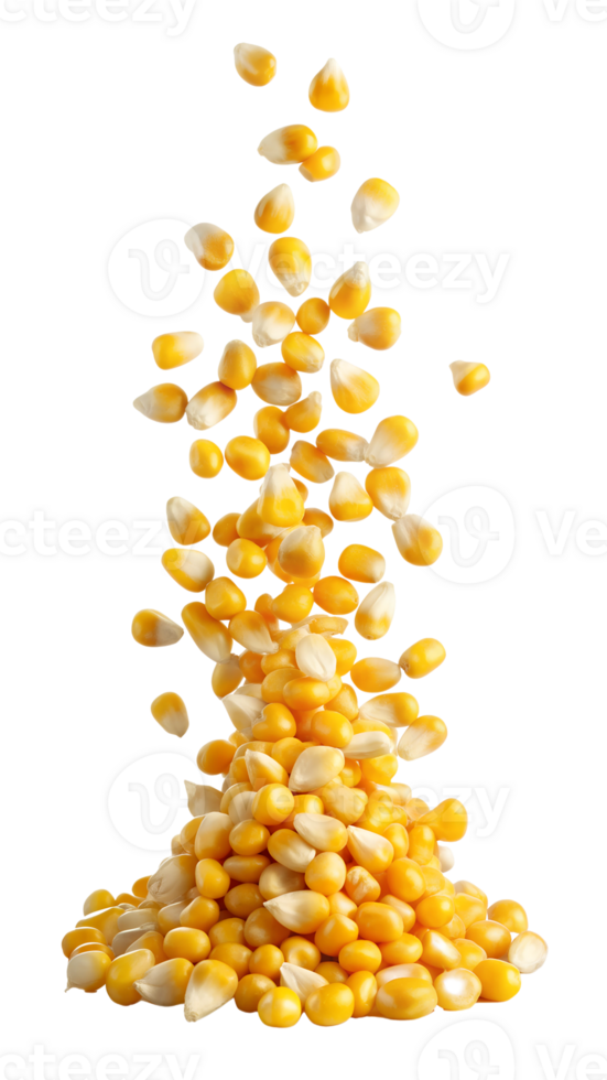 Falling yellow corn kernels, transparent png