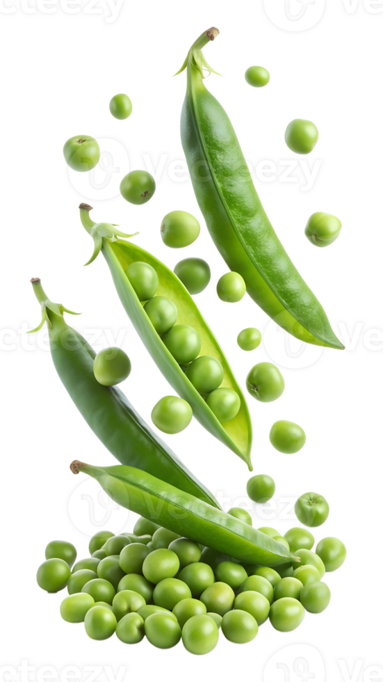 Green peas in pods with loose peas, isolated transparent png