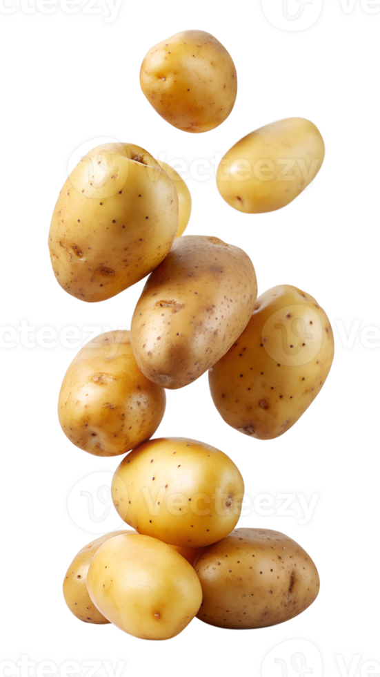 Group of floating potatoes with various shapes, isolated transparent png