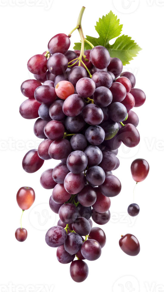 Close-up of red grapes with green leaves on vine, isolated transparent png