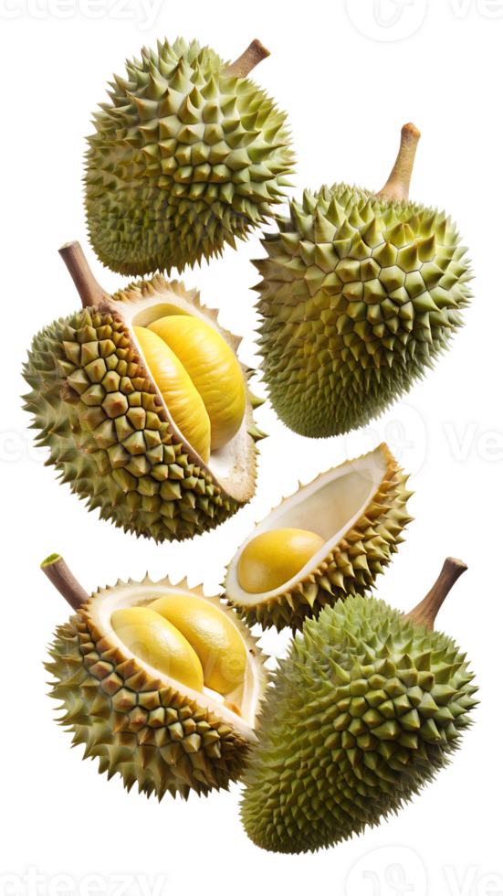 Durians with open and closed shells floating in air, isolated transparent png