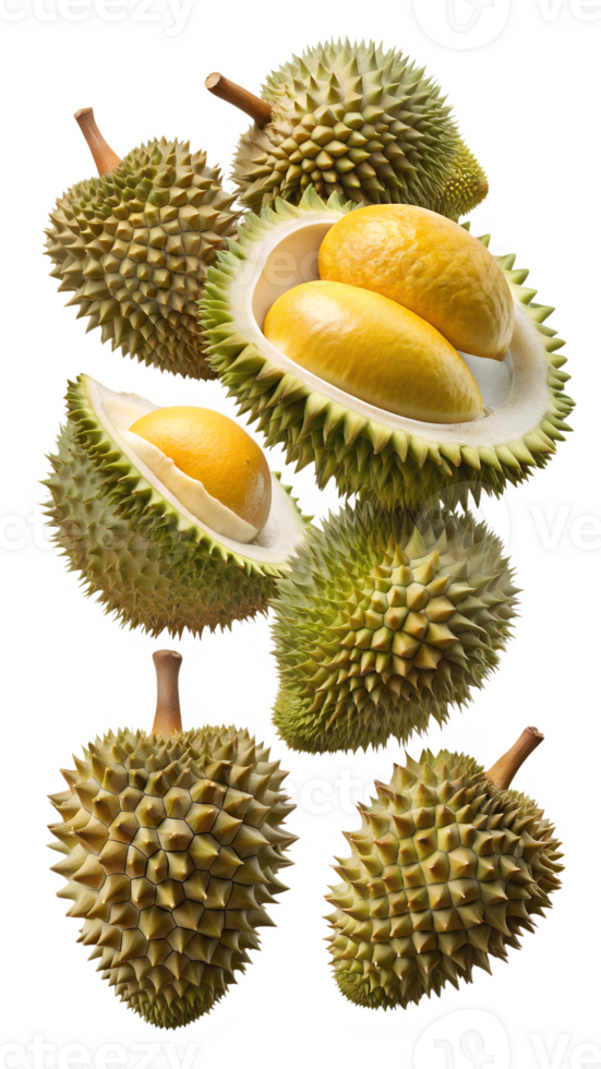 Whole and half durians with yellow flesh exposed, isolated transparent png