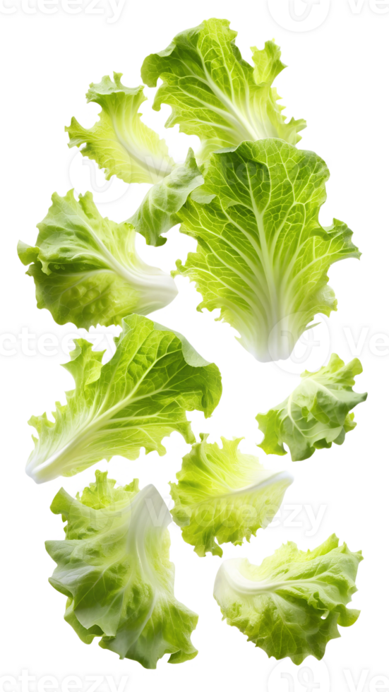 Lettuce leaves in motion, isolated transparent png