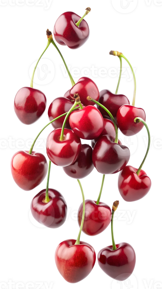 Bunch of fresh cherries with stems floating on white background, isolated transparent png