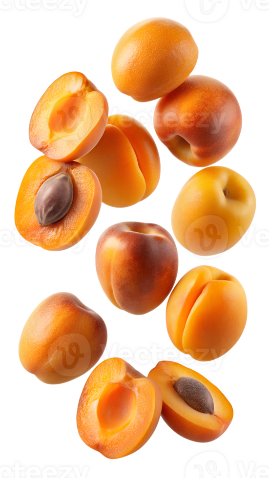 Fresh apricots with whole and sliced pieces, isolated transparent png