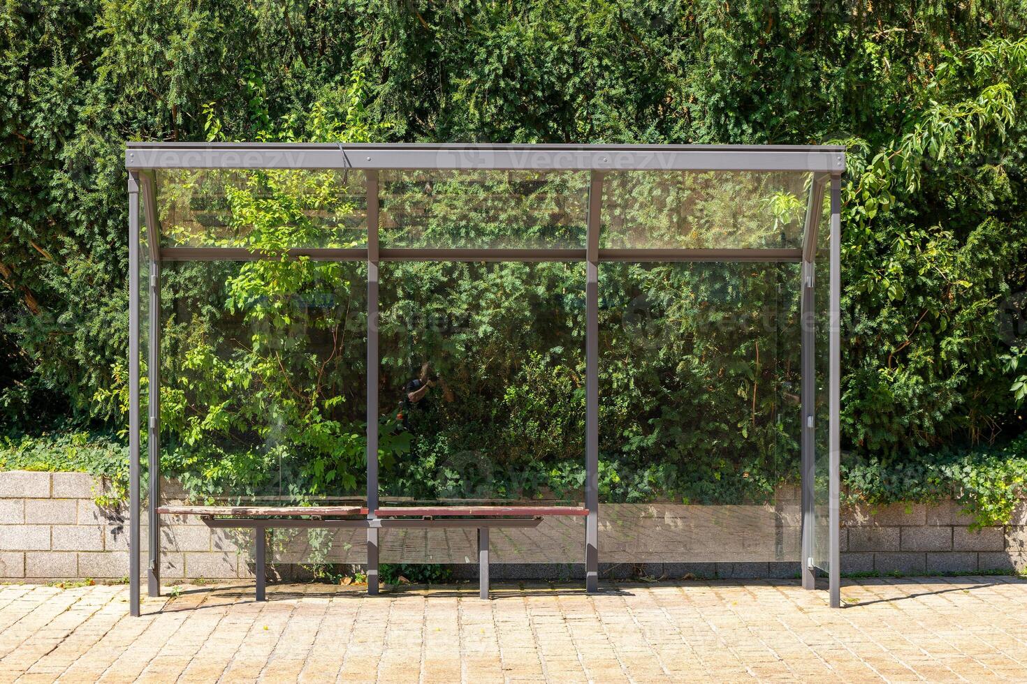 bus stop with a bench and a tree in the background photo