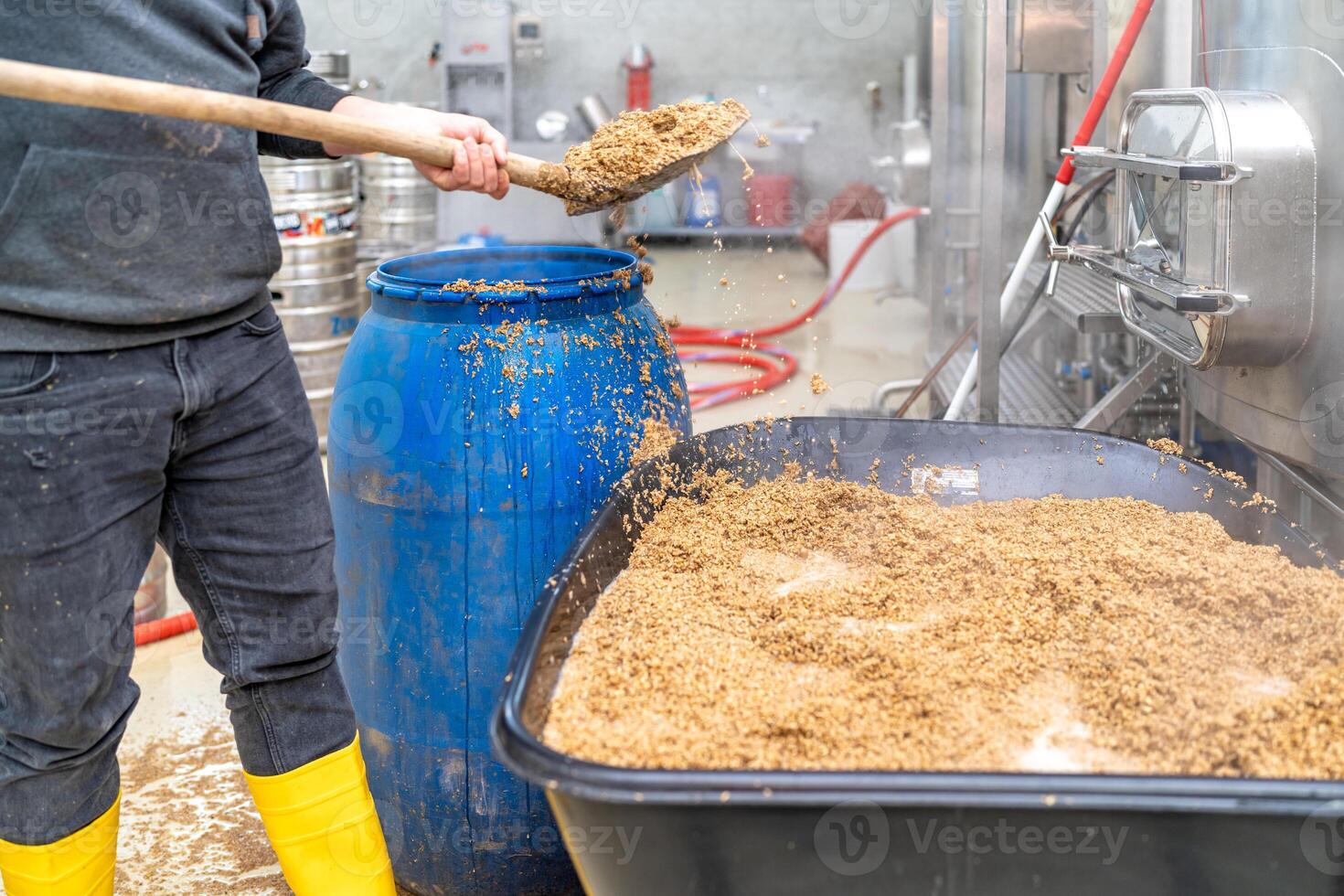 disposal of residual malt after brewing beer in the brewery photo